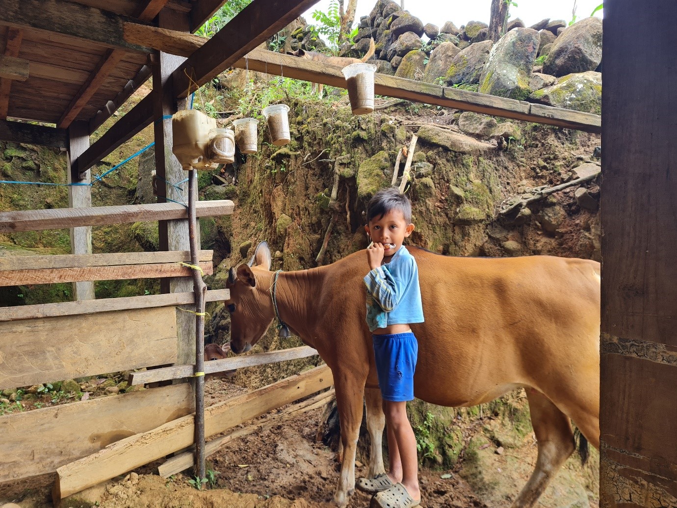 Foto : Potret anak Ibu Nia beserta dengan hewan ternak nya di pinggir rumah panggung dusun Cindakko