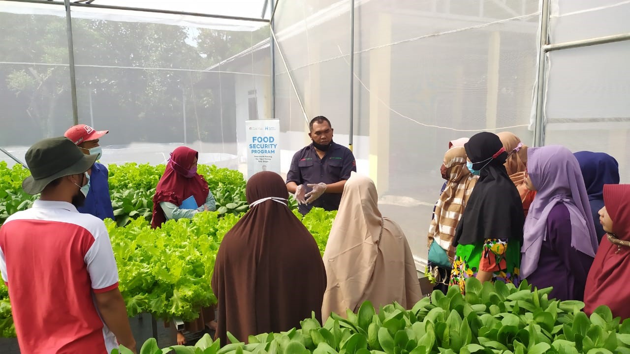 Human Initiative Helps Strengthen Food Security for Covid-19 Survivors with Nutrition Gardens