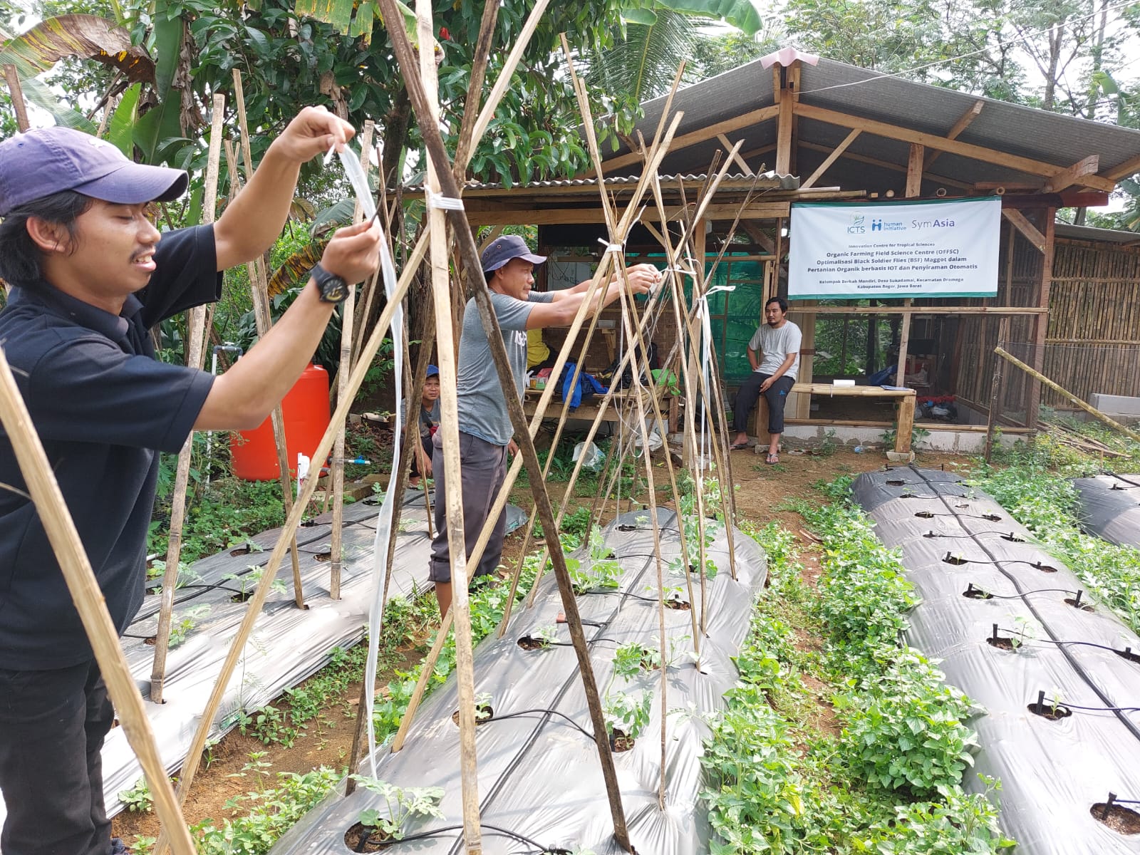 Successfully Applying Organic Farming Methods, Ade Rahmat Is Now Sharing Knowledge To Dozens Of Farmers In Bogor Regency