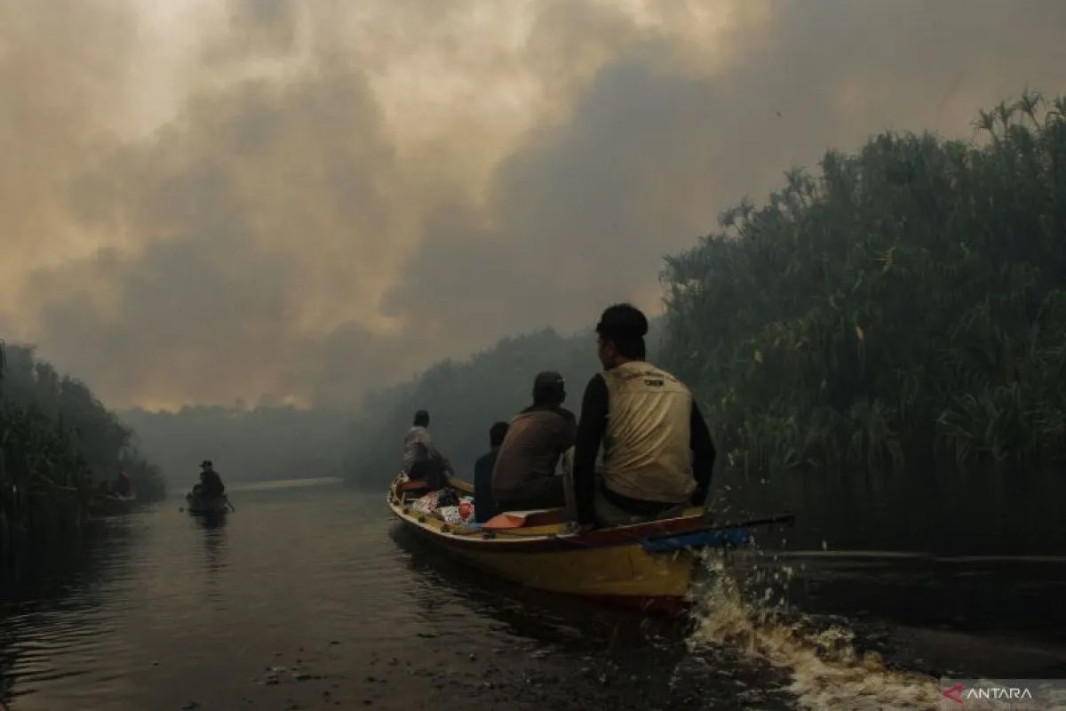 Alert Warning: Forest and Land Fires (Karhutla) Still Potential in Three Indonesian Provinces