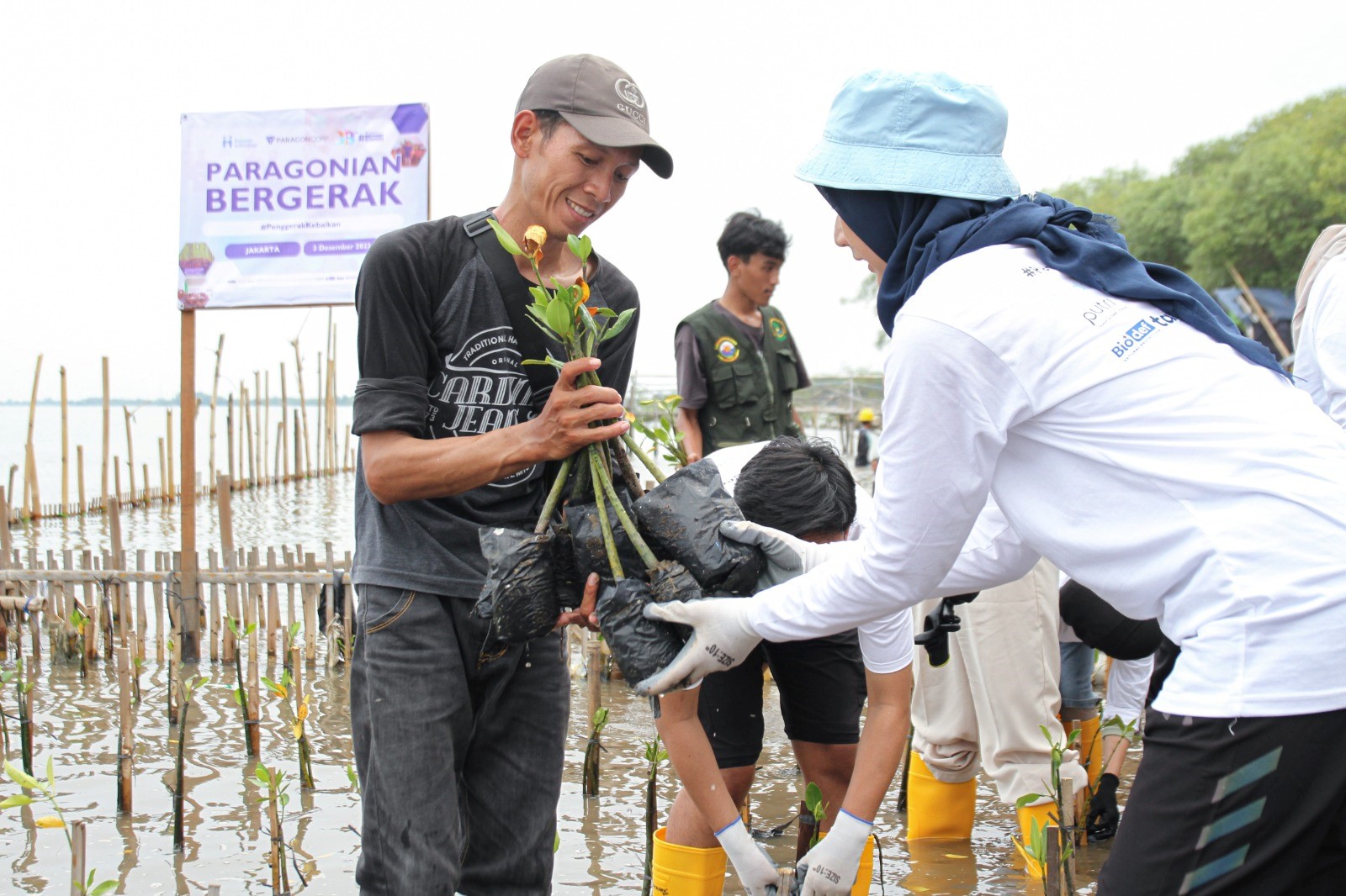 HUMANITRIP: Tanam 2.130 Mangrove, Kolaborasi Kebaikan Human Initiative dan Paragon untuk Lingkungan