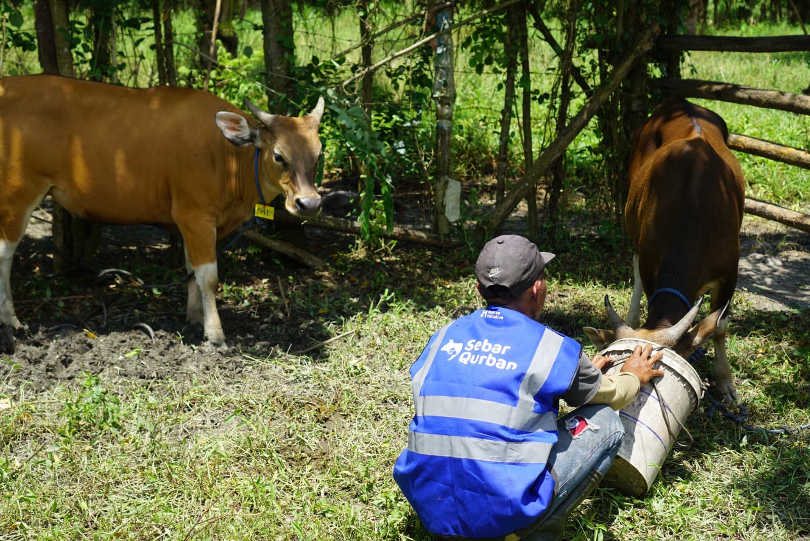 FLASHSALE QURBAN 2025: Berkurban Lebih Awal, Lebih Ringan!