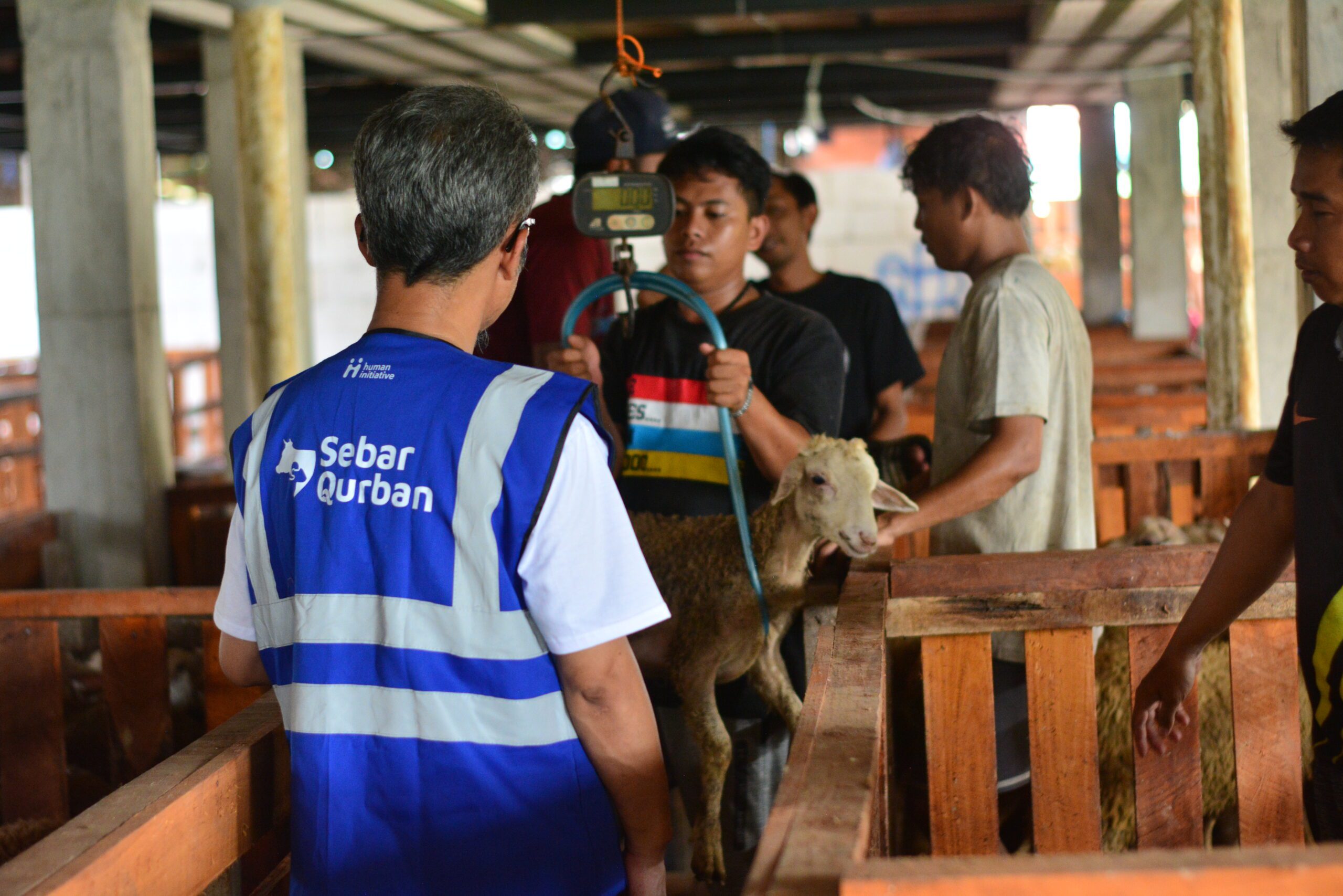 Human Initiative Jalankan Quality Control untuk Pastikan Hewan Kurban Sesuai Syariat