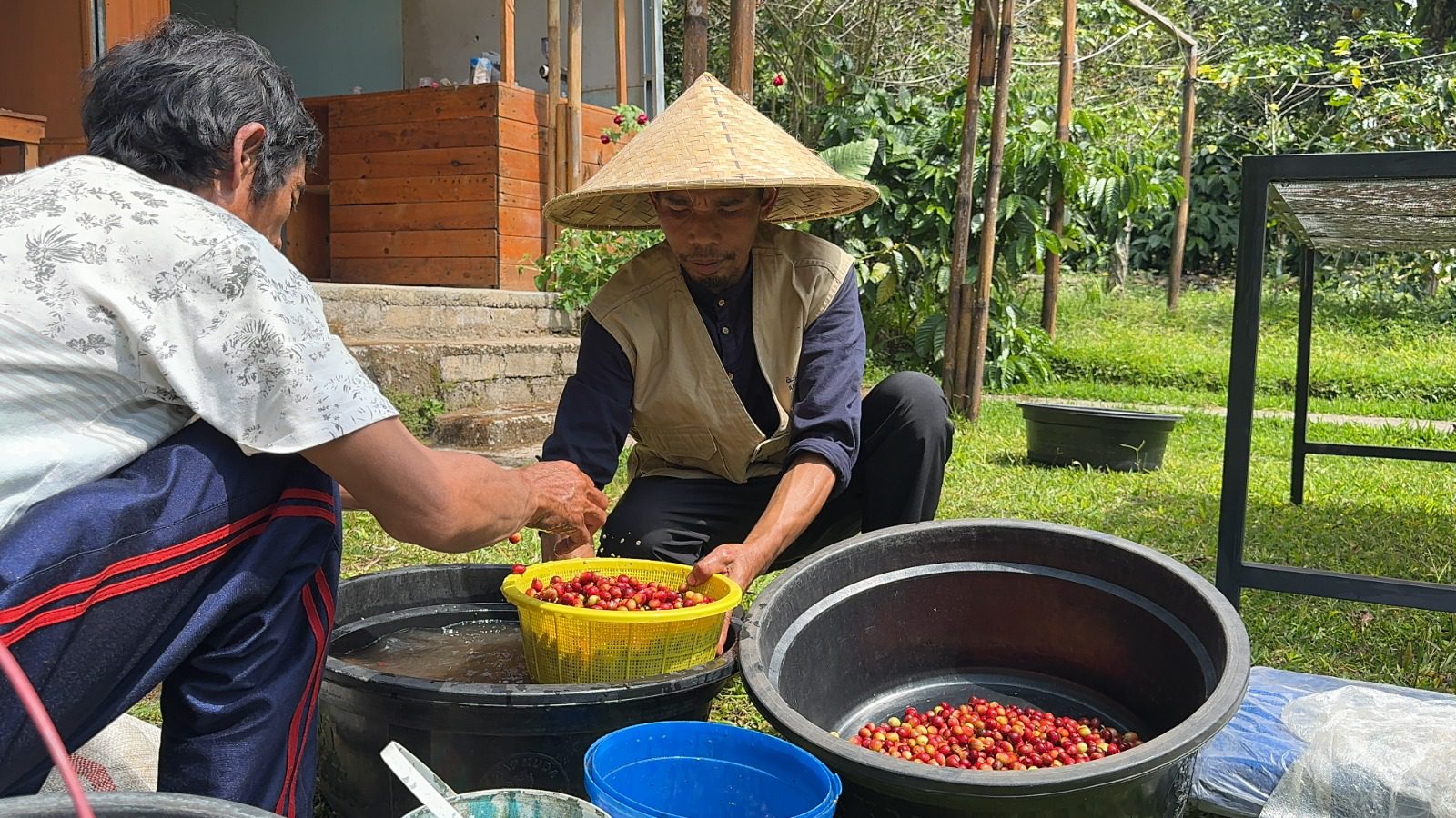 Bapak Irmawati, Bantu Petani di Lombok Timur Keluar dari Jerat Ijon Lewat Koperasi Bumi Tani Lestari