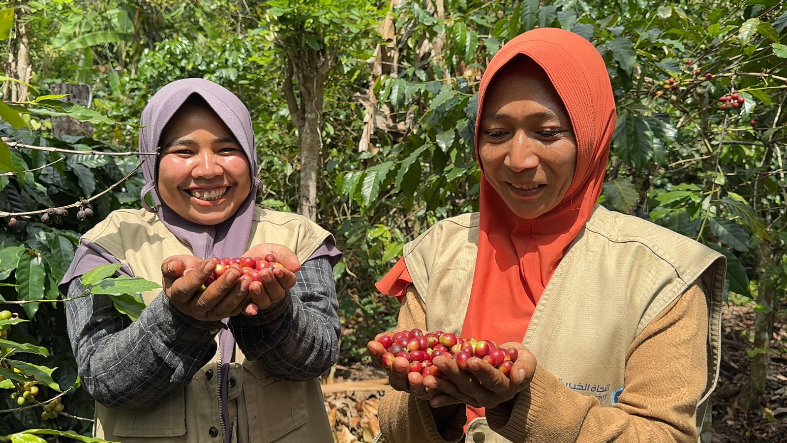 Understanding the “Ijon” Practice: Pre-Harvest Selling That Traps Farmers in Poverty