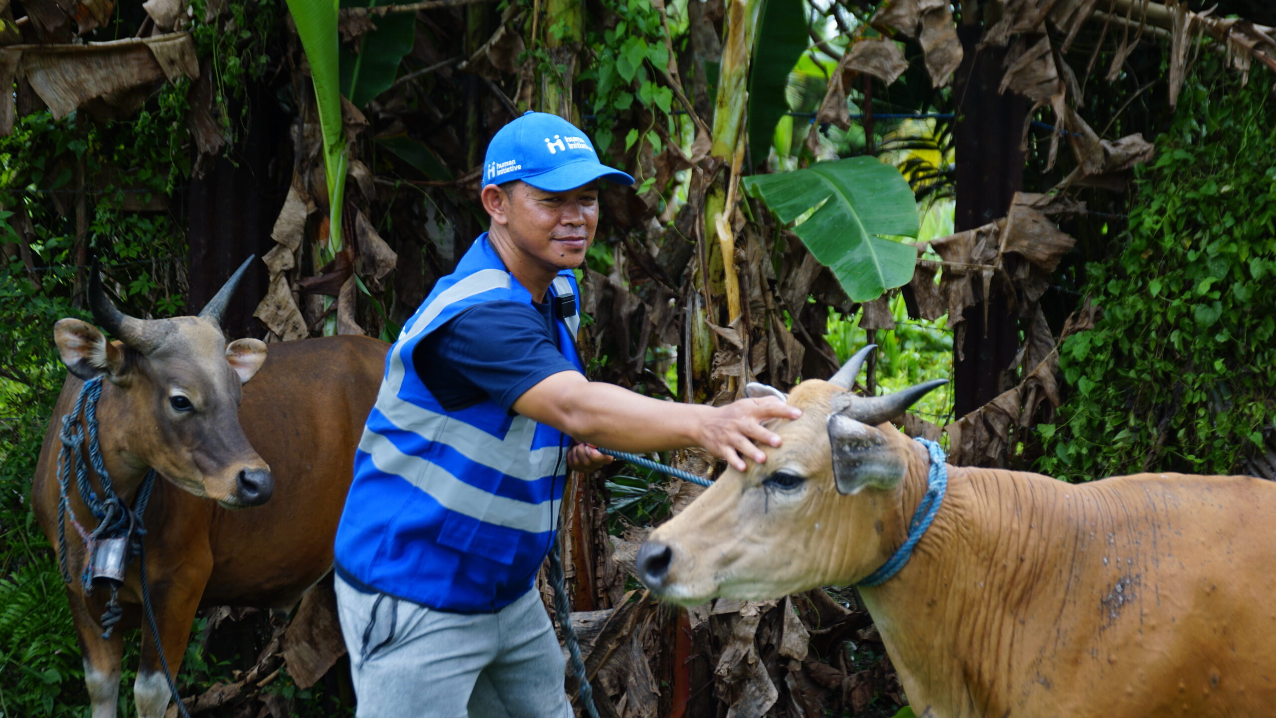 Sebar Qurban Human Initiative: Tiga Nilai Utama  untuk Qurban yang Lebih Berdampak