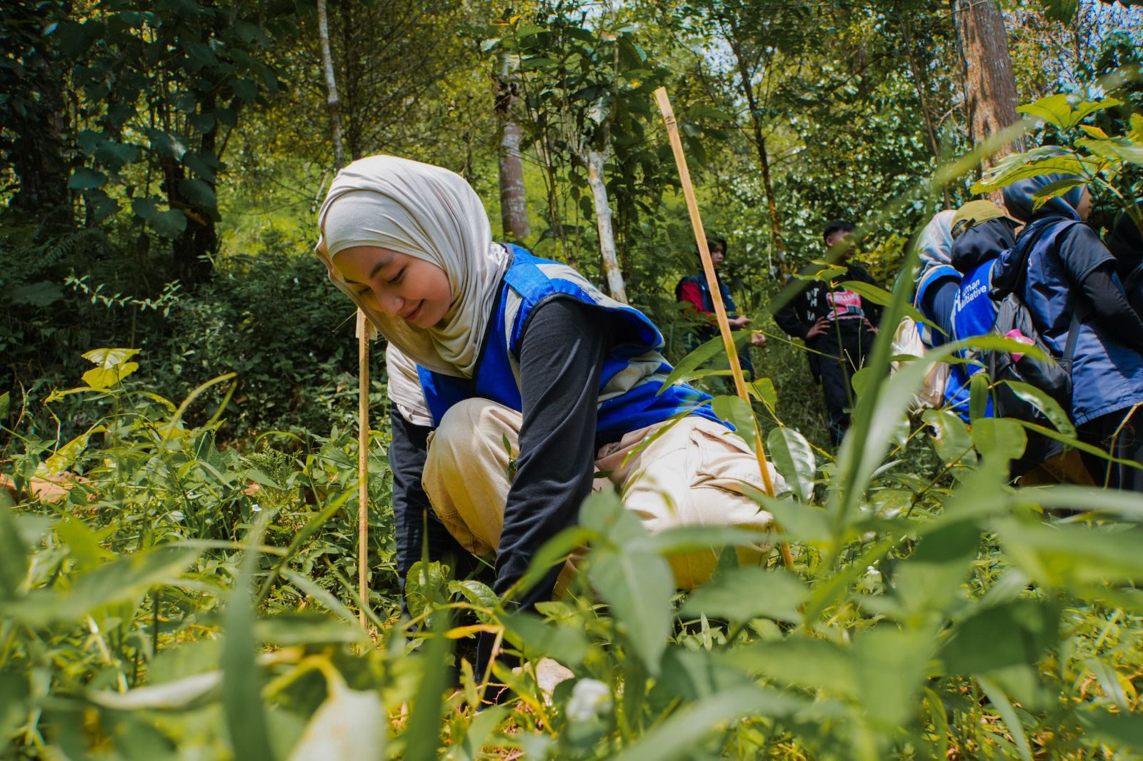 Kolaborasi Lebih dari 1.500 Relawan di Gunung Pulosari, Aksi Reboisasi untuk Menjaga Kelestarian Alam