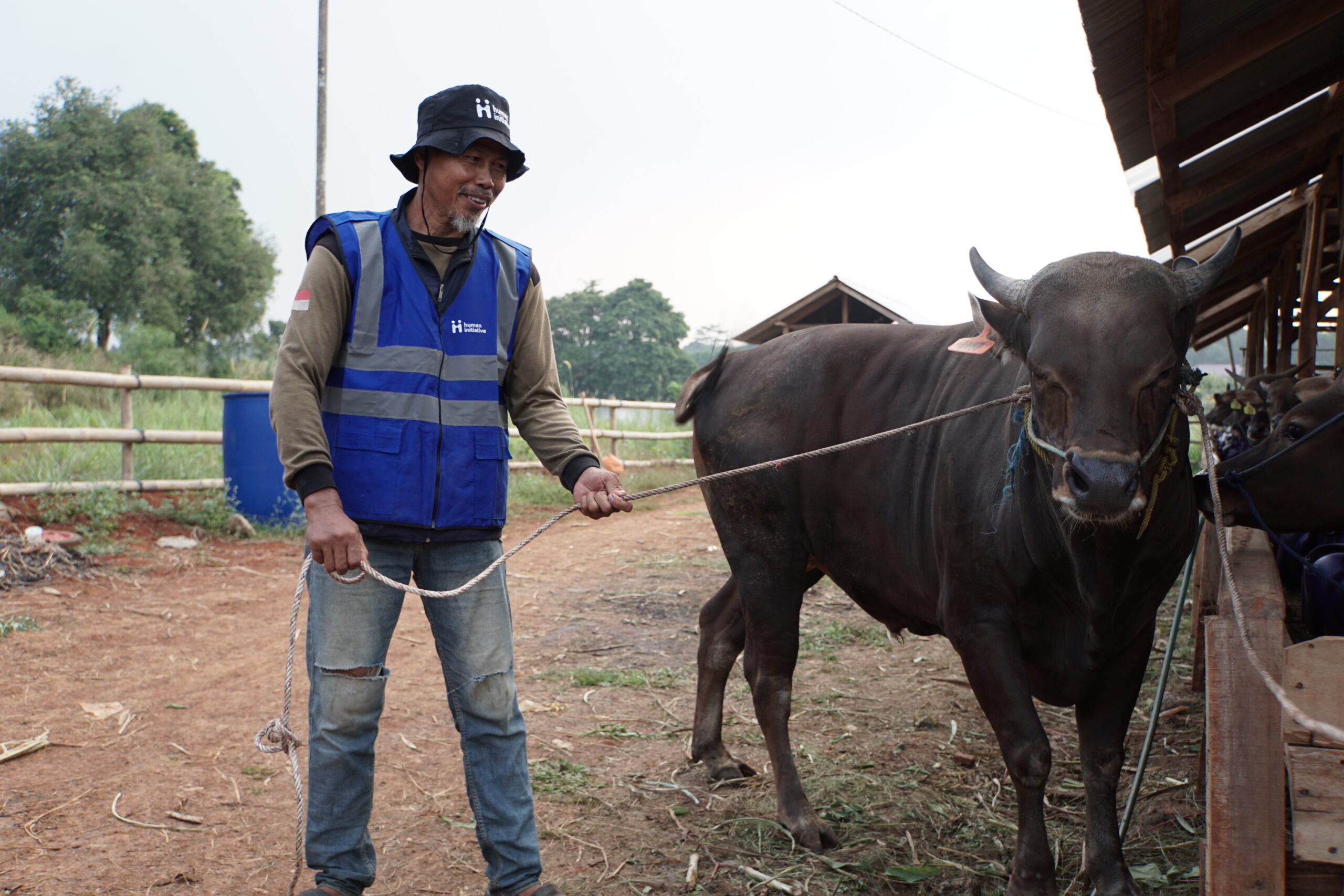 Reaching Those in Need, Sebar Qurban Is Managed in Accordance with Sharia and Distributed Responsibly