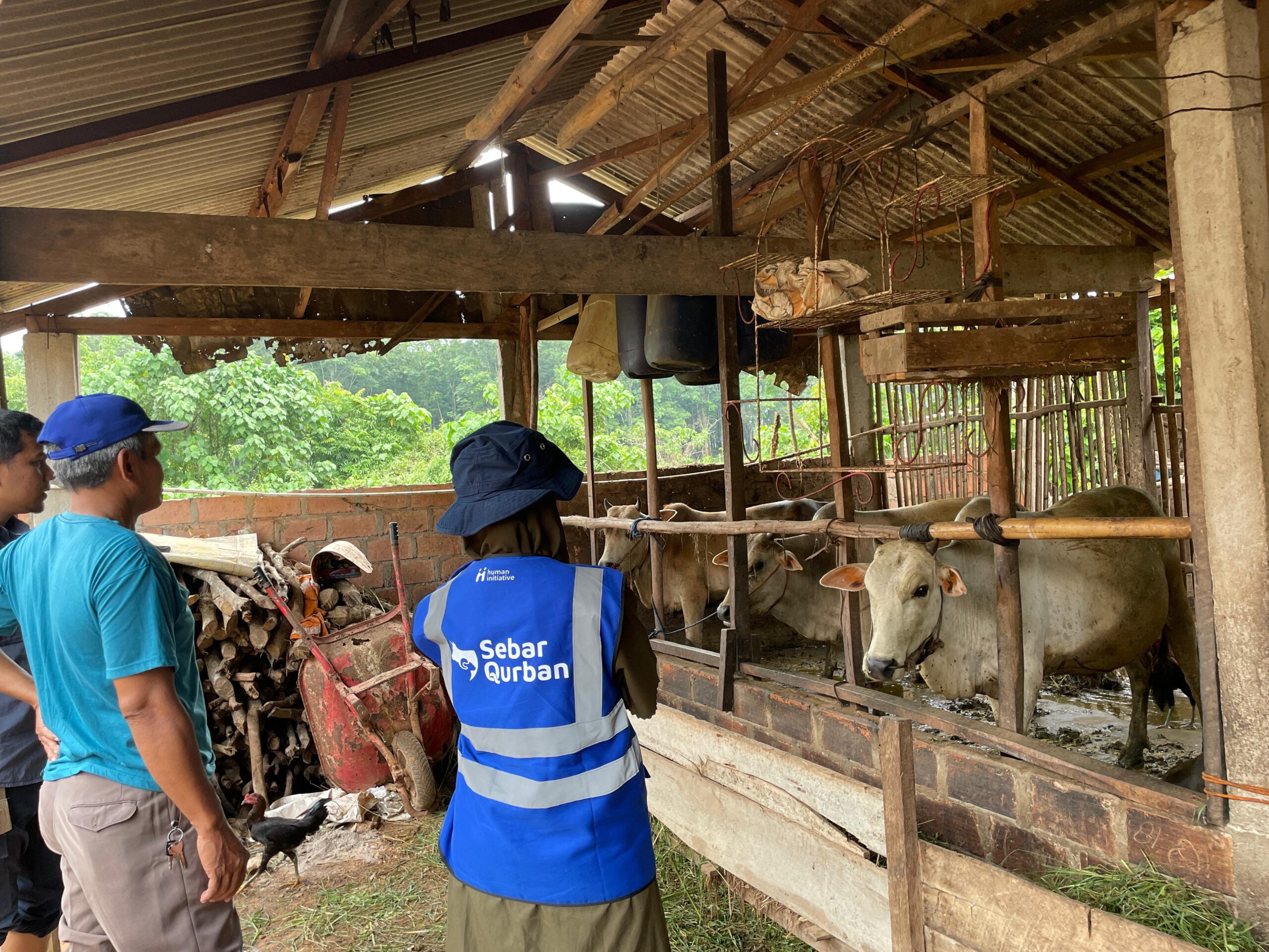 Flash Sale Qurban: Easier Qurban, Wider Impact