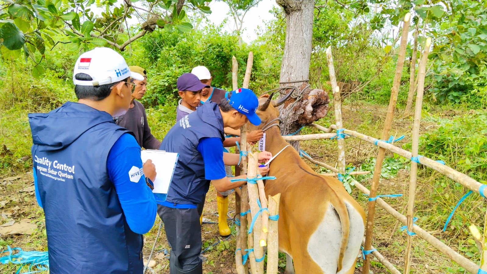 Qurban in Accordance with Sharia with Wider Impact: From Livestock Selection to Distribution
